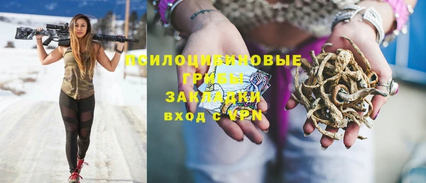 синтетический гашиш Алексеевка