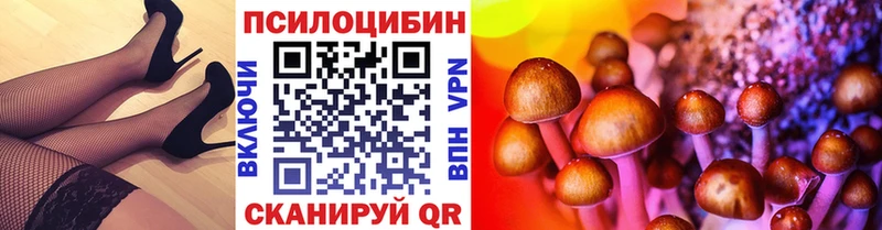 Галлюциногенные грибы мицелий  купить  сайты  mega ONION  Долинск 